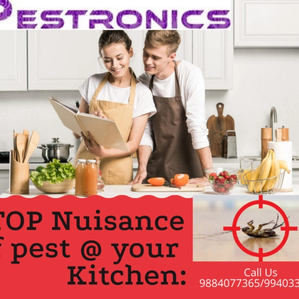 Pest Control Services In Chennai