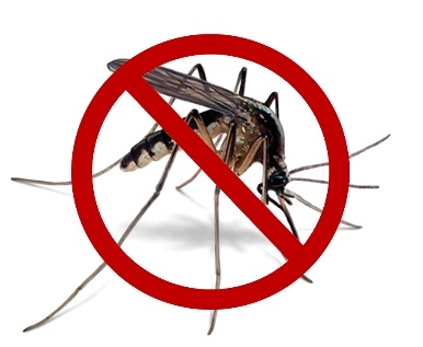 Mosquito control Service in Pallikaranai