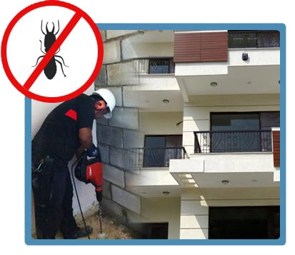 Rodent Control Services In Chennai