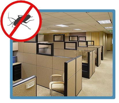 Fly Control Services In Chennai