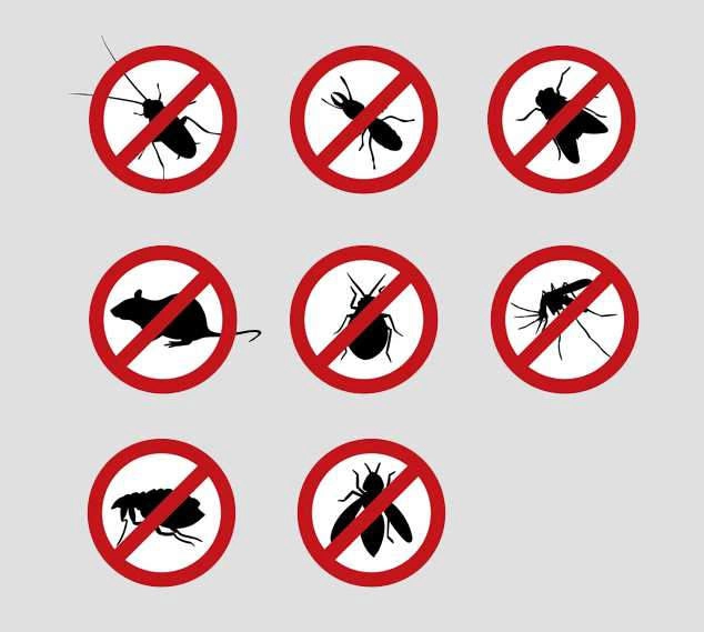 Cockroach control Services in Chennai